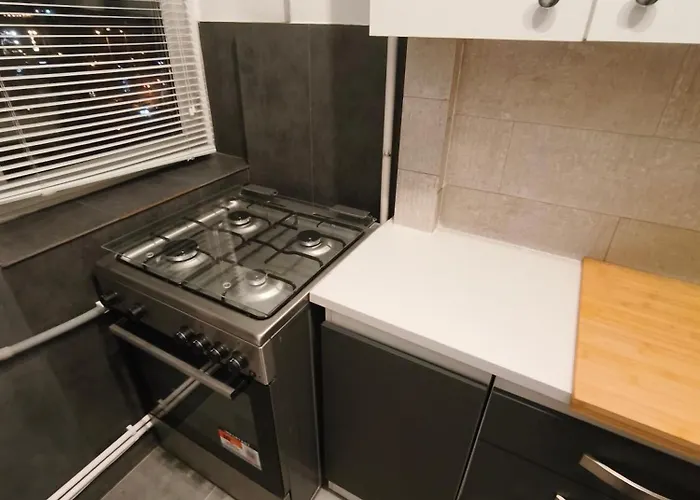 Superb 2 Camere- Sufragerie 1 Camera, 45m2, Gara De Nord *