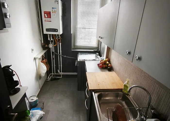 Superb 2 Camere- Sufragerie 1 Camera, 45m2, Gara De Nord Apartment
